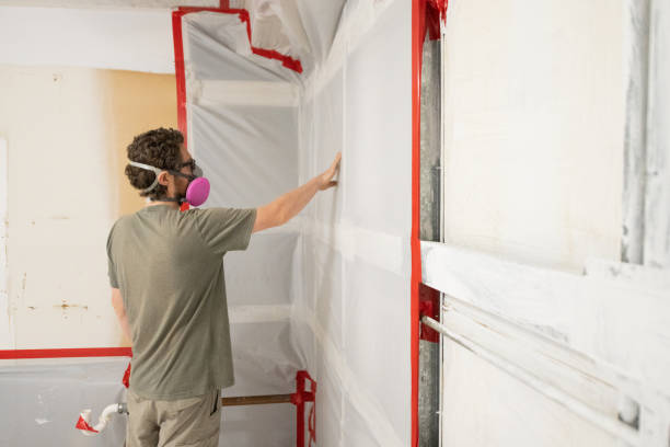 Biohazard Mold Removal in Hackettstown, NJ