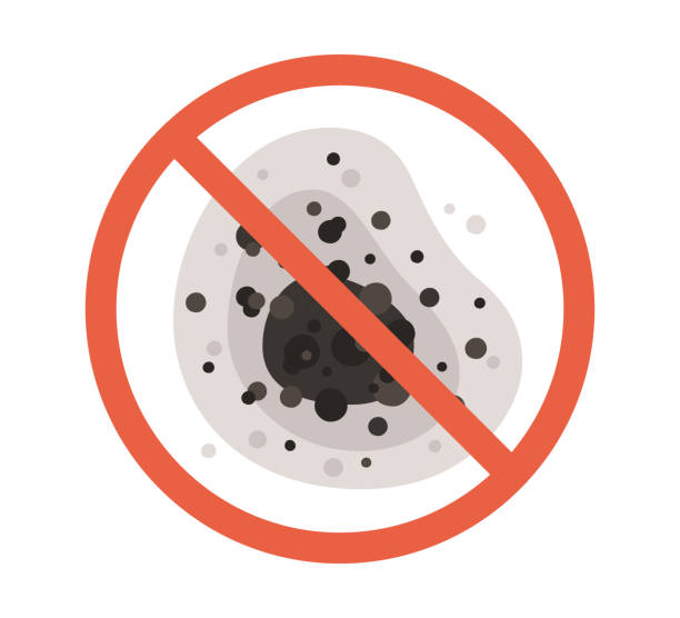Professional Mold Removal in Hackettstown, NJ