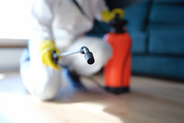 Best Residential Mold Inspection & Testing  in Hackettstown, NJ