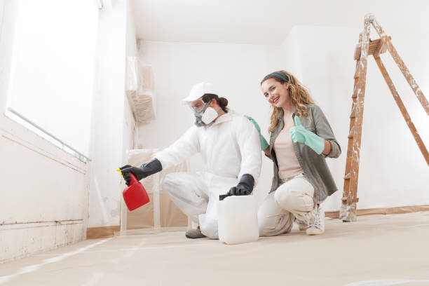 Best Mold Prevention Services  in Hackettstown, NJ
