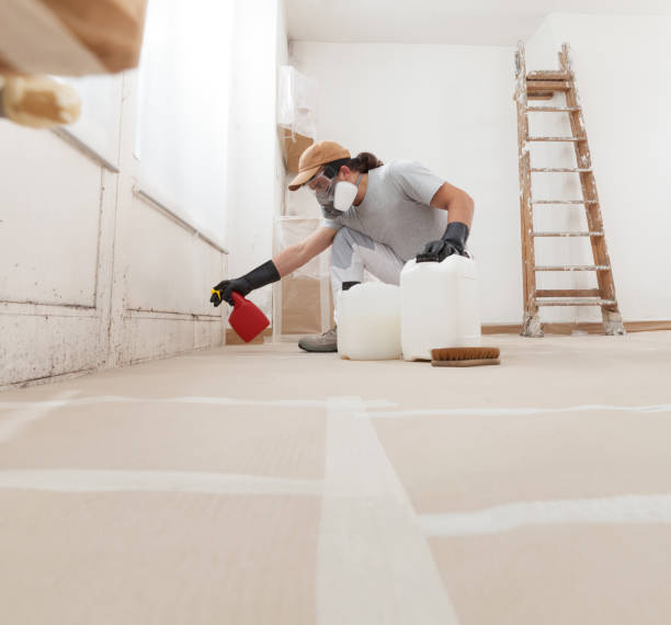 Best HVAC Mold Inspection and Cleaning  in Hackettstown, NJ